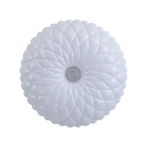 Plafon Auris PLF-53749-L-CL