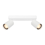 Nesto – Lampa sufitowa SPOT SPL-23436-2-WH