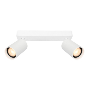 Nesto – Lampa sufitowa SPOT SPL-23436-2-WH