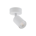 11368_NEX_WHITE_A.jpg