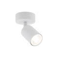 11368_NEX_WHITE_O.jpg