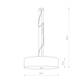 7d1235bb8cc7f2da07aad46246092d05.jpg