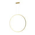 Lampa-Wiszaca-Loop-S-1xLED-zlotaIP44-PL0119-85-GD.webp