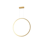 Lampa Wisząca Loop S 1xLED złota IP44 PL0119-65-GD
