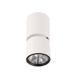 Boniva lampa sufitowa SPL-2854-1-SC-WH
