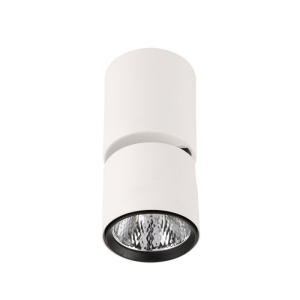 Boniva lampa sufitowa SPL-2854-1-SC-WH