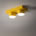 11289_BRIX_YELLOW_B1.jpg