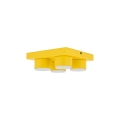 11290_BRIX_YELLOW_L.jpg