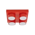 11293_BRIX_RED_W.jpg