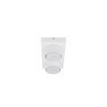 11295_BRIX_WHITE_P.jpg