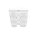 11297_BRIX_WHITE_P.jpg