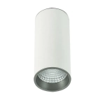 Moldes Big WH/GR Ceiling 3000K - Lampa natynkowa SLC7392/12W 3000K WH+GR