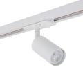 11261_TRACER_WHITE_P.jpg