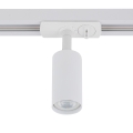 11261_TRACER_WHITE_W.jpg