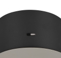 337010107_3.jpg