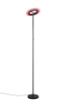 r43411132_4.jpg