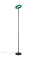 r43411132_5.jpg