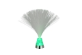 r53841106_5.jpg