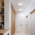 18004_AQUA_WOOD_B.jpg