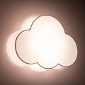 6072_CLOUD_ROSE_O2.jpg