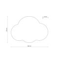 4967_CLOUD_ROSE_R.jpg