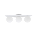 11264_CLOUD_NEW_WHITE_W.jpg
