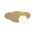 11266_CLOUD_NEW_SABIA_O.jpg