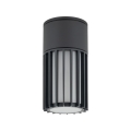11508_RIBO_GRAY_L.jpg