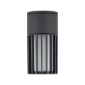 11508_RIBO_GRAY_W.jpg