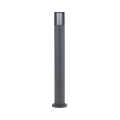 16172_RIBO_GRAY_W.jpg
