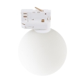 11665_TRACER_WHITE_A.jpg
