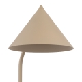 16211_CONO_SABIA_D_P.jpg