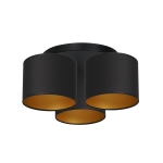 Lampa sufitowa ARDEN 3488