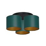 Lampa sufitowa ARDEN 3545