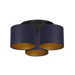 Lampa sufitowa ARDEN 3564