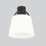 Lampa ścienna kinkiet BILOBA czarny 1x40W E14  /  91-49063