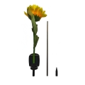 eko2494$f.png