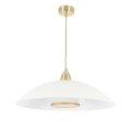 5903034849261.jpg
