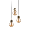 10898_SIA_GOLD_D_P.jpg