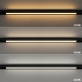 ml2641$b.png