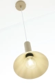 pol_pl_Lampa-wiszaca-VITRUM-stozek-cieply-bez-41544-RAL-1019-15347_13.webp