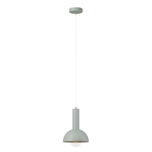 pol_pl_Lampa-wiszaca-VITRUM-KOPULA-S-szalwia-41555-15368_1.webp