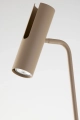 pol_pl_LEDA-lampa-podlogowa-reflektor-RAL-1019-cieply-bez-41535-15338_5.webp