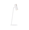pol_pl_LEDA-lampka-reflektor-bialy-41738-15340_1.webp