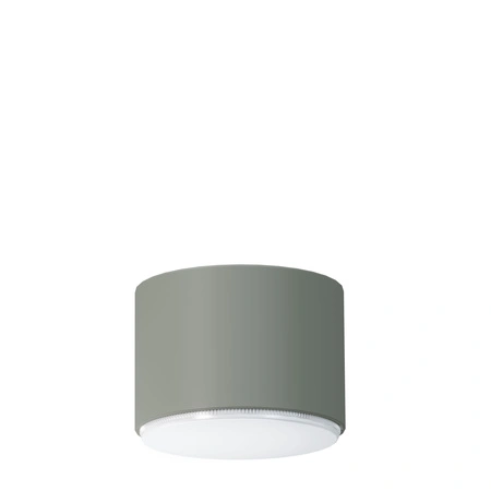 pol_pm_Plafon-Spot-TUBO-S-szalwia-41525-15274_1.webp