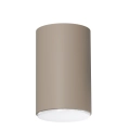 pol_pl_Plafon-Spot-TUBO-L-cieply-bez-41528-15271_1.webp