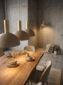 pol_pl_Lampa-wiszaca-VITRUM-GOLD-kopula-M-cieply-bez-zloty-szczotkowany-41713-15288_2.webp