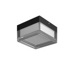Nefis - Plafon PLF-53628-BK