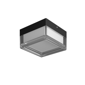 Nefis - Plafon PLF-53628-BK