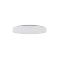 18283_VELIS_WHITE_LED_30W_L.jpg